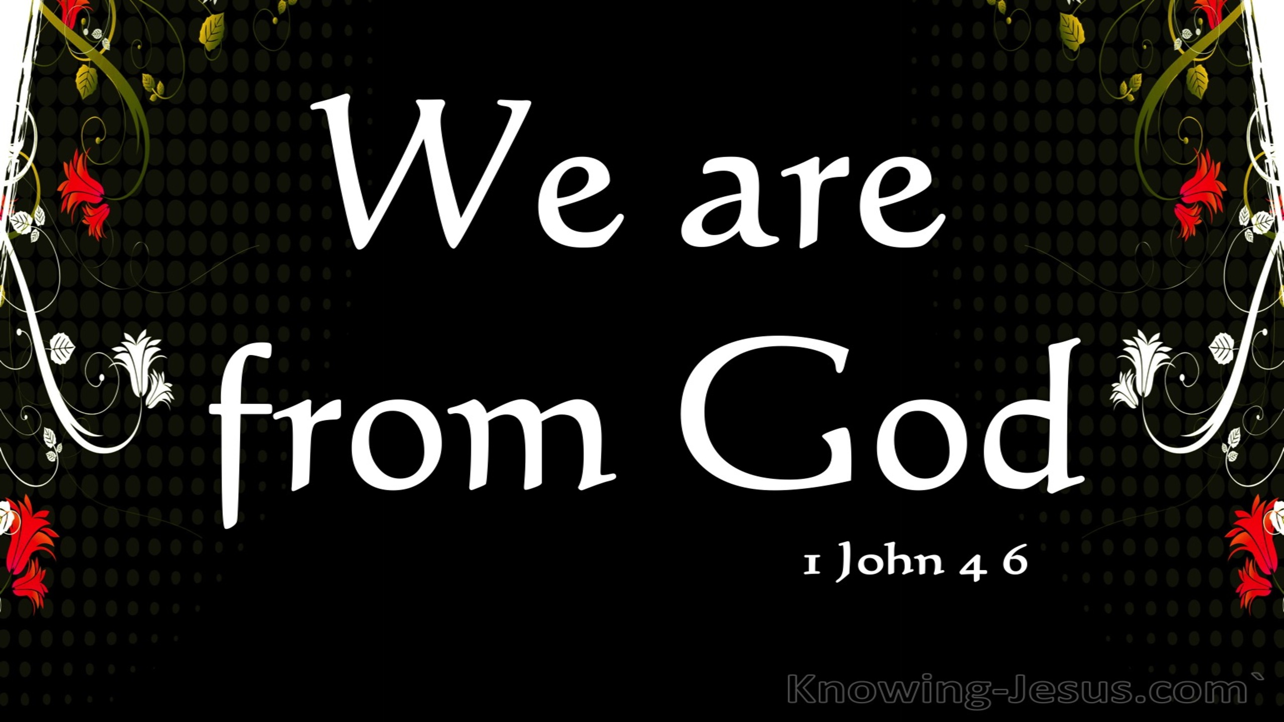 1 John 4:6 Spirit Of Truth And Spirit Of Error (white)